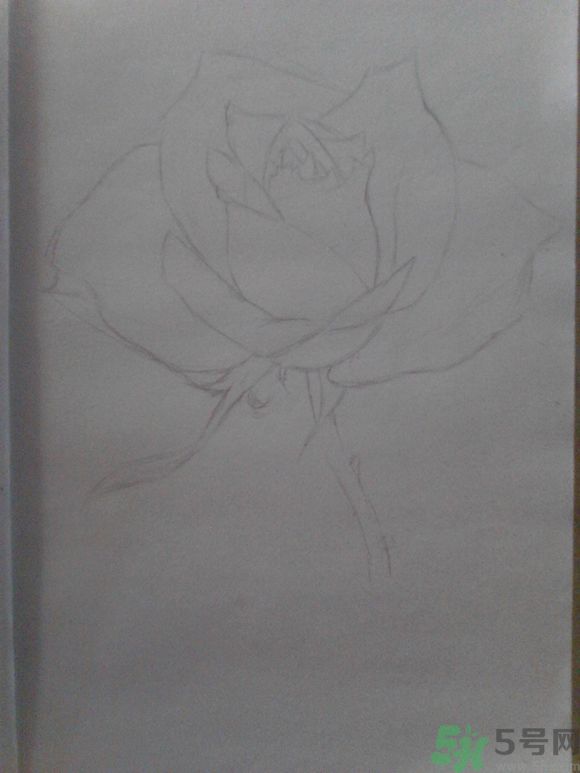 16歲少年圓珠筆畫出大作 圓珠筆畫入門怎么學？