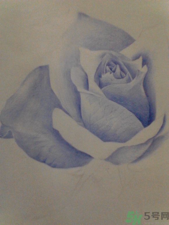 16歲少年圓珠筆畫出大作 圓珠筆畫入門怎么學？