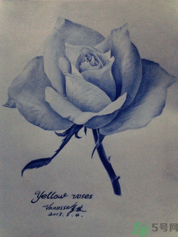 16歲少年圓珠筆畫出大作 圓珠筆畫入門怎么學？