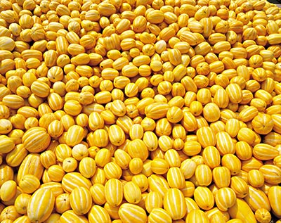 拉肚子能吃香瓜嗎？拉肚子吃香瓜好嗎？