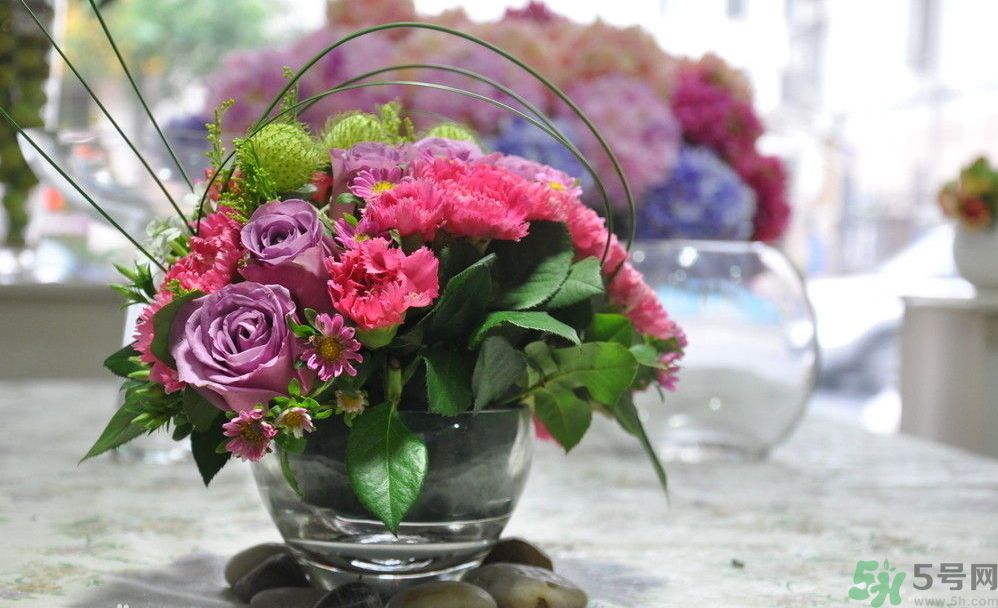 母親節(jié)送什么顏色的康乃馨？母親節(jié)應(yīng)該買什么顏色的康乃馨？