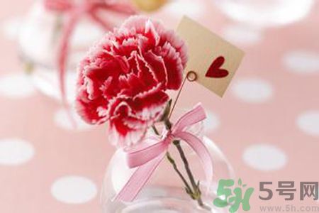 母親節(jié)送什么顏色的康乃馨？母親節(jié)應(yīng)該買什么顏色的康乃馨？