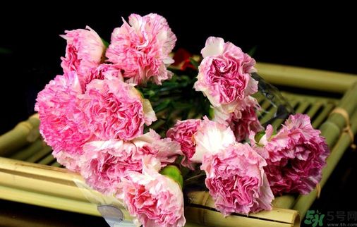 母親節(jié)送什么花好？母親節(jié)應該送什么鮮花？