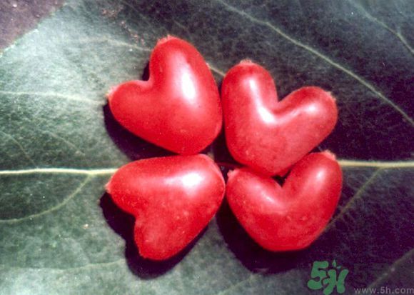 杈杷果好吃嗎？杈杷果的營養(yǎng)價值與功效