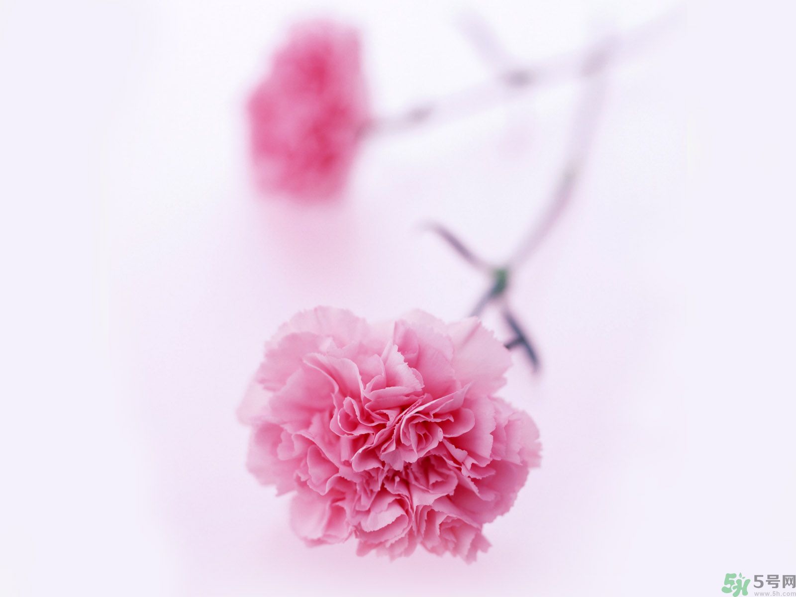 母親節(jié)送什么禮物給婆婆？母親節(jié)送什么禮物給婆婆好？