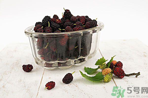 桑葚泡酒男人可以喝嗎？桑葚泡酒男人喝好不好？