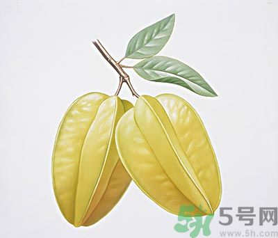 楊桃和什么不能一起吃？楊桃不能與什么同食？