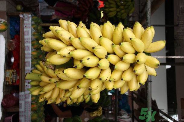 孕婦可以吃牛奶蕉嗎？孕婦吃牛奶蕉好嗎？