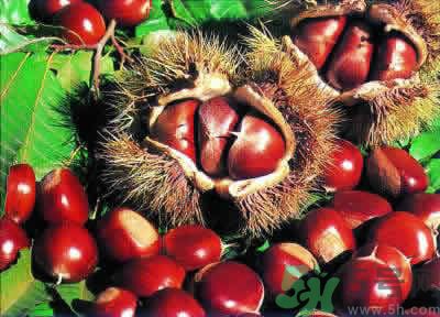 板栗是酸性還是堿性？板栗是酸性的嗎？