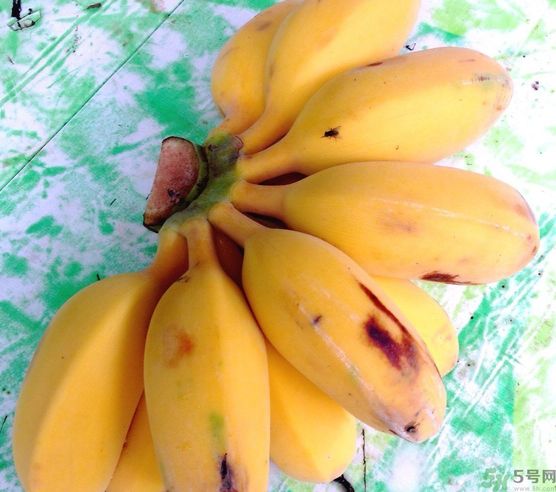 什么是牛奶蕉？牛奶蕉好吃嗎？