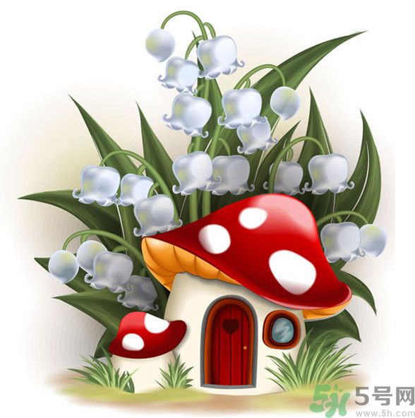 吃蘑菇可以喝酒嗎？吃蘑菇喝酒會中毒嗎？