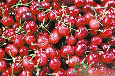 櫻桃是溫性的還是熱性的？櫻桃是溫性的嗎？