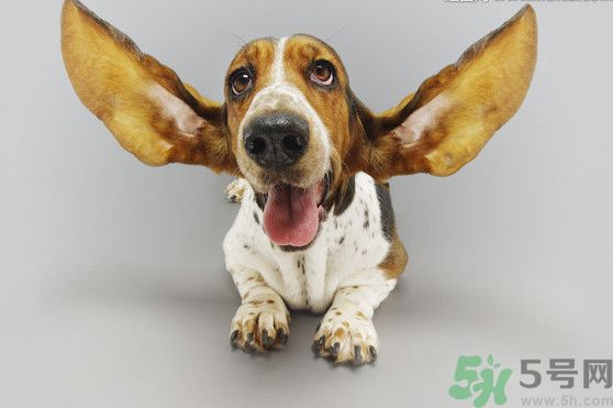 耳石脫落導(dǎo)致的眩暈怎么辦？耳石癥暈眩能自愈嗎？