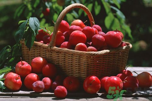 李子是酸性還是堿性？李子是酸性嗎？