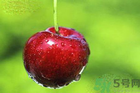 月經(jīng)期間可以吃李子嗎？月經(jīng)期間吃李子好嗎？