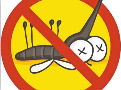 風(fēng)油精和清涼油哪個(gè)好？風(fēng)油精和清涼油有什么妙用？