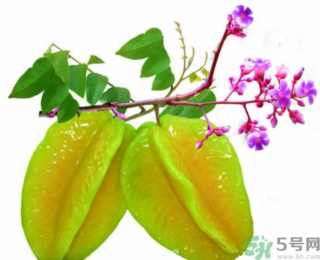 慢性腎炎可以吃楊桃嗎？慢性腎炎吃楊桃好嗎？