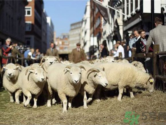 如何挑選高定西裝？定制西裝要注意些什么？