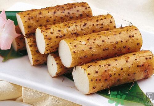 山藥是熱性還是涼性的？山藥是熱性的嗎？