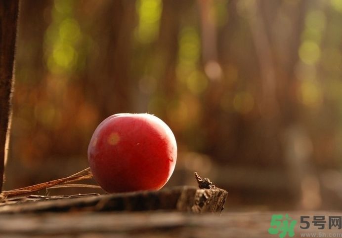 高血壓可以吃李子嗎？高血壓吃李子好嗎？