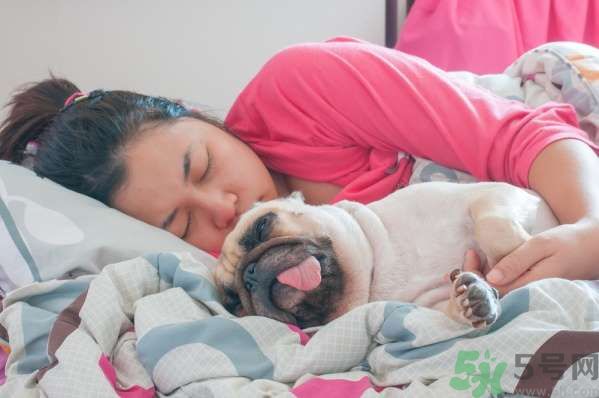 和寵物一起睡覺(jué)要注意什么？寵物睡姿有什么含義？