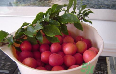 李子可以美容嗎？李子怎么吃可以美容？