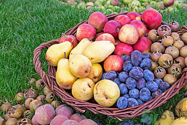 桃子和梨子能一起吃嗎？桃子和梨子一起吃好嗎？