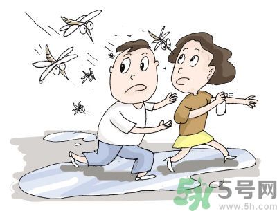 被蚊子咬很癢怎么辦？被蚊子咬要怎么止癢？