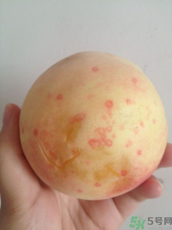 桃子上有紅點(diǎn)能吃嗎？桃子上有黑點(diǎn)可以吃嗎？