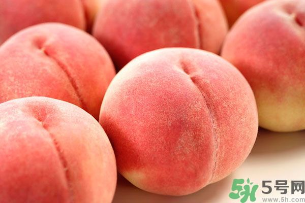 桃子和杏子可以一起吃嗎？杏子和桃子有什么區(qū)別？