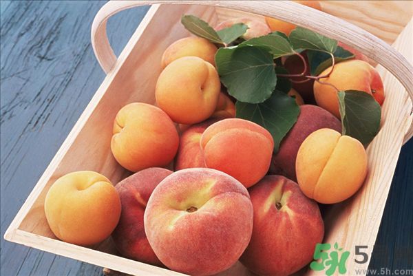 桃子和杏子可以一起吃嗎？杏子和桃子有什么區(qū)別？