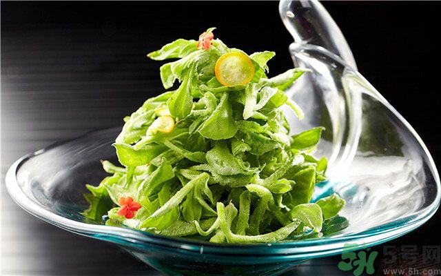 什么是冰草？冰草有什么作用？