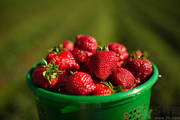 五月吃什么水果好？五月有哪些水果可以吃？