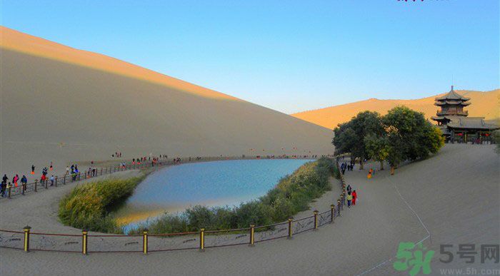 月牙泉再現(xiàn)鐵背魚 什么是鐵背魚？