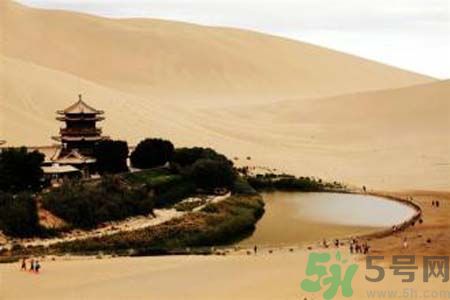 月牙泉再現(xiàn)鐵背魚 什么是鐵背魚？