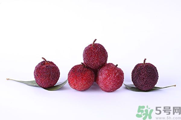 楊梅和梅子是一樣的嗎？楊梅和梅子有什么區(qū)別？