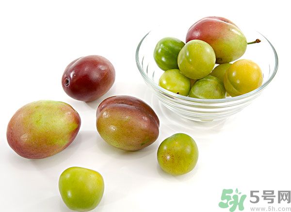 楊梅和梅子是一樣的嗎？楊梅和梅子有什么區(qū)別？