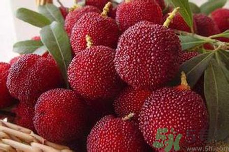 楊梅是不是發(fā)物？楊梅是發(fā)物嗎？