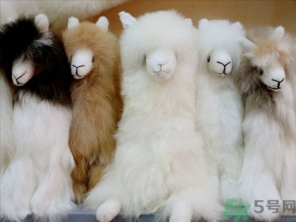 羊駝肉的營養(yǎng)價值 羊駝肉的功效與作用 羊駝肉的營養(yǎng)價值 羊駝肉的功效與作用