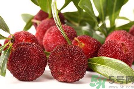 胃潰瘍可以吃楊梅嗎？胃潰瘍吃楊梅好嗎？