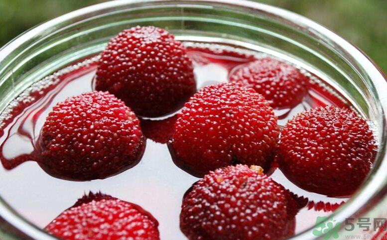 寶寶可以吃楊梅嗎？寶寶多大可以吃楊梅？