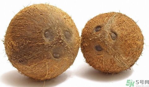 椰子能帶上飛機(jī)嗎？坐飛機(jī)能帶椰子嗎?