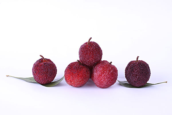 楊梅和梅子是一樣的嗎？楊梅和梅子有什么區(qū)別？