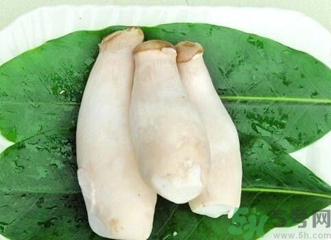 吃杏鮑菇有什么好處？吃杏鮑菇對(duì)身體好嗎？