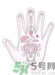 1462330255554289.png 25950884504_5576438e93_o.png