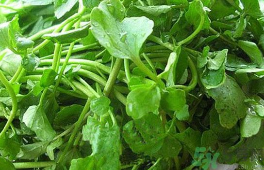 水腫能吃茄子嗎？茄子能消水腫嗎？