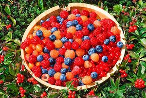 痛風(fēng)能吃櫻桃嗎？痛風(fēng)吃櫻桃可不可以？