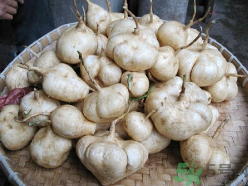 白地瓜怎么做好吃？白地瓜的做法有哪些？