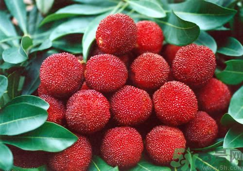 高血壓可以吃楊梅嗎？吃楊梅血壓會升高嗎？