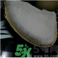 椰子可以放冰箱嗎？椰子放冰箱容易壞嗎？